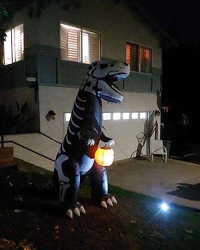 Inflatable skeleton tyrannosaurus rex skellyrex