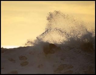 San Diego surf photo Blacks Beach