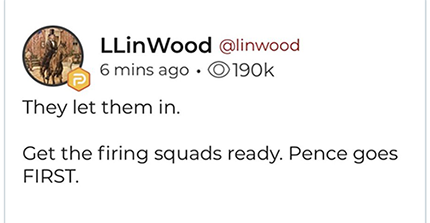 Lin Wood Parler post firing squads Pence