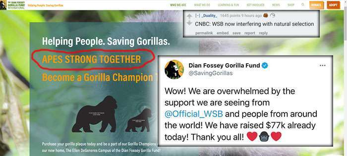 Reddit WallStreetBets Dian Fossey Gorilla Fund Apes Together Strong