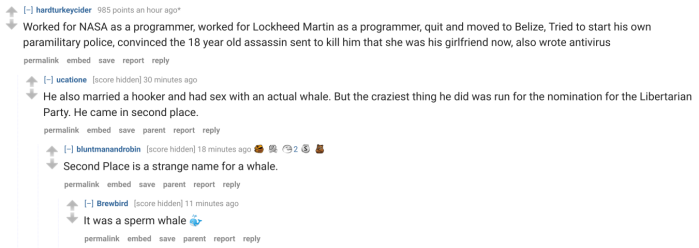 Reddit John McAfee career antivirus whale sex banter