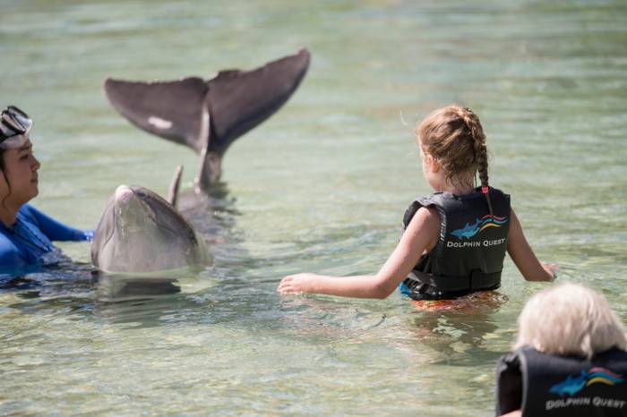 Dolphin encounter posing