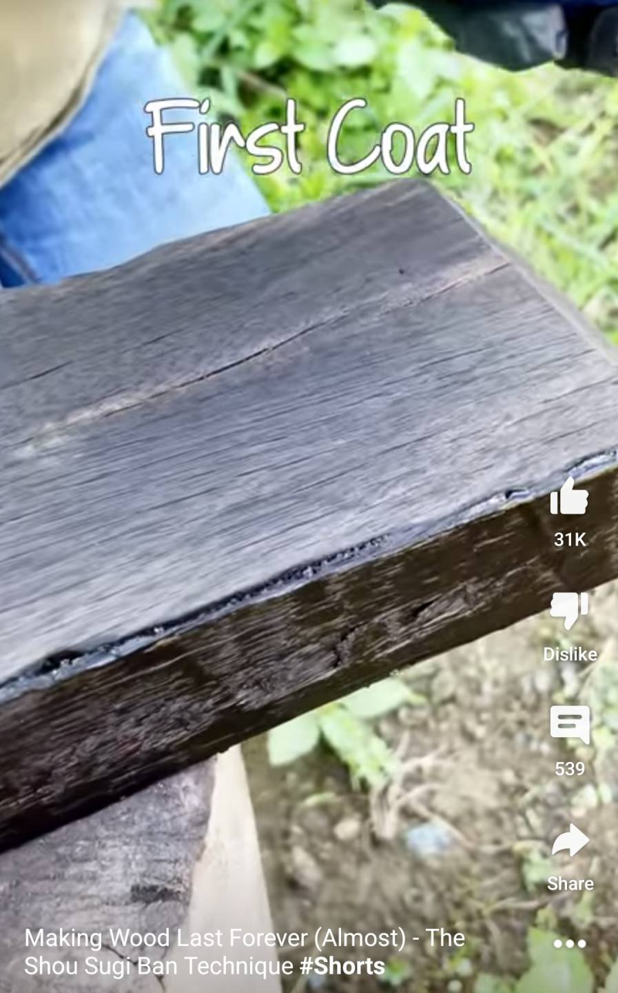 Shou Sugi Ban wood preservation how-to video