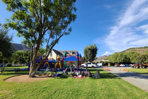 Rancho Guejito Vineyard lawn castle bounce