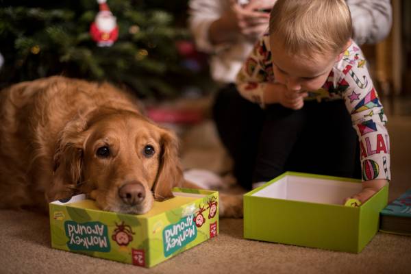 Golden retriever xmas Monkey Around game