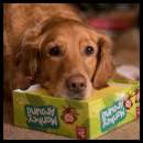 thumbnail Golden retriever xmas Monkey Around game