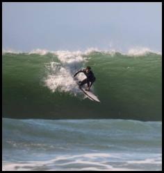 Surfing Blacks Beach La Jolla January 06 2023 dolphin