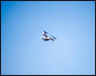 Osprey