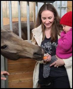 Horse carrot nom