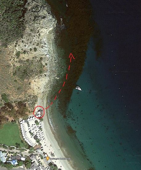 Avalon Catalina Descanso Beach Club kelp forest snorkeling