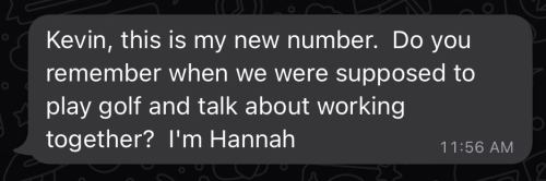 Scam text message Hannah