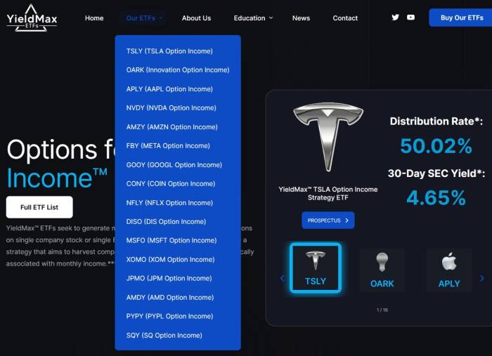 Yieldmax etf funds web site