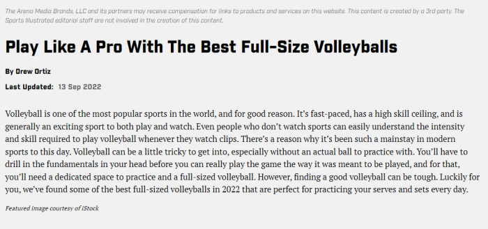 Sports Illustrated Reviews AI generated article Drew Ortiz volleyballs