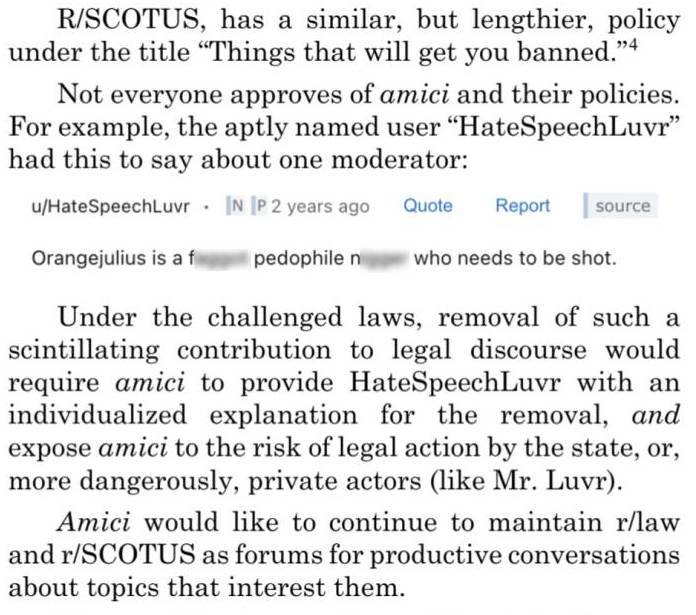 Reddit law amicus brief Supreme Court HateSpeechLuvr Moody v NetChoice