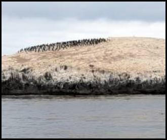 Catalina Island Two Harbors Bird Rock