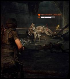 Aliens Fireteam Elite xenomorph crusher