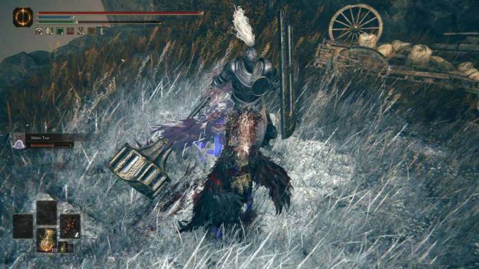 Elden Ring Shadow of the Erdtree Black Knight Garrew
